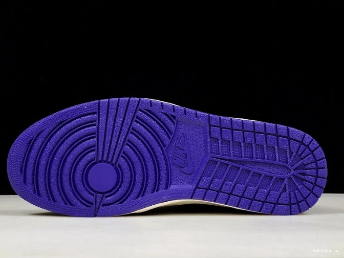 Rep TB Purple 555088-501 1 Jordan Air Court 0819